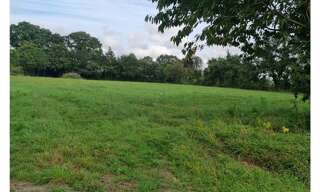 Terrain  865 m² à vendre à Limerzel (56220)
