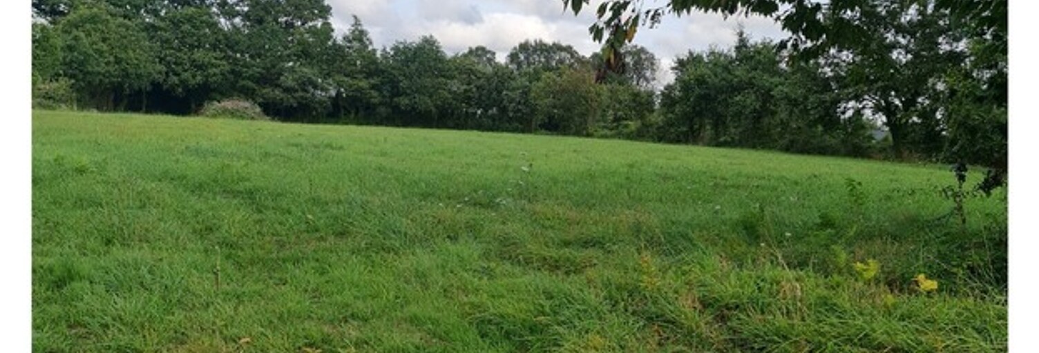 Terrain  865 m² à vendre à Limerzel (56220)