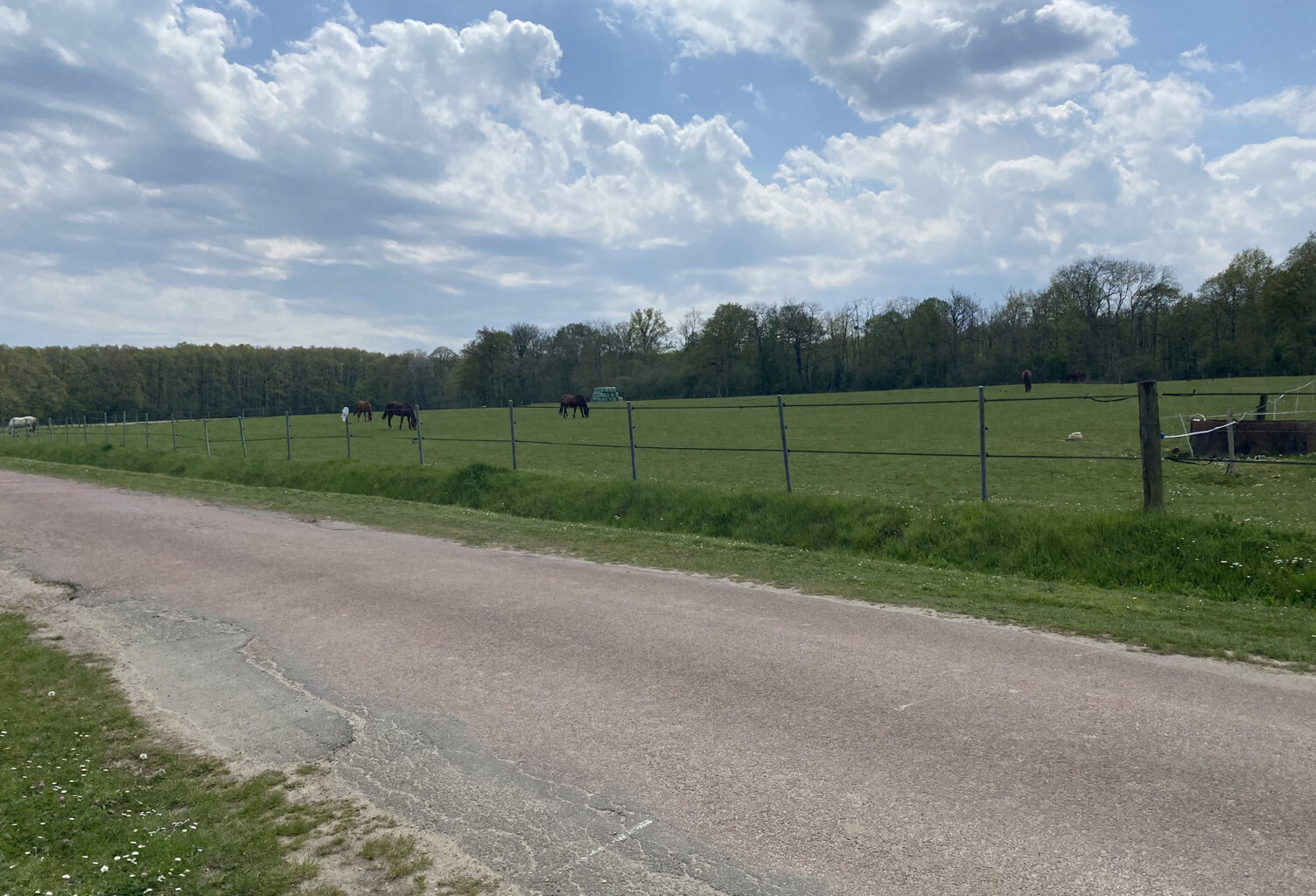 MONTFORT L'AMAURY: Terrain d'exception de 5000 M2 avec maiso — photo 1