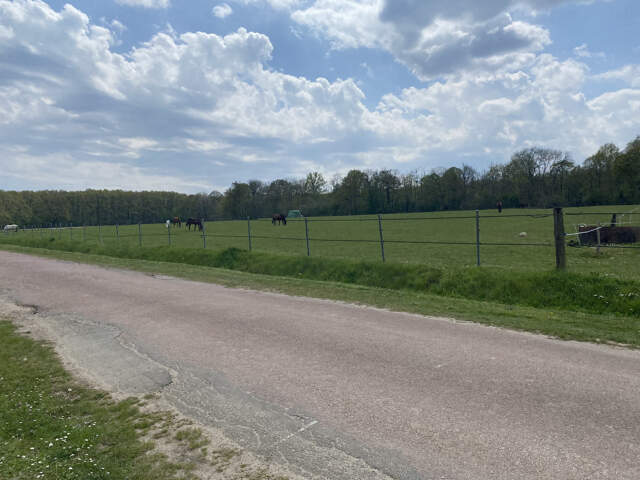 MONTFORT L'AMAURY: Terrain d'exception de 5000 M2 avec maiso — photo du bien