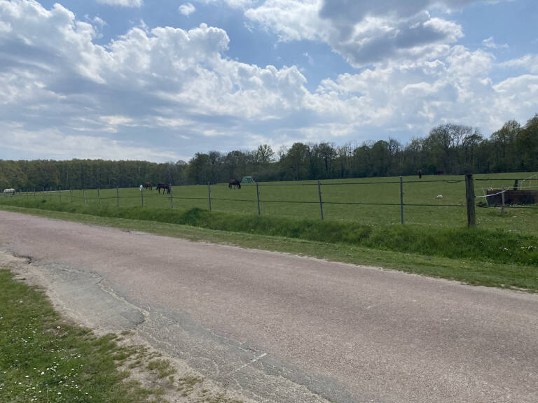 MONTFORT L'AMAURY: Terrain d'exception de 5000 M2 avec maiso — photo 1