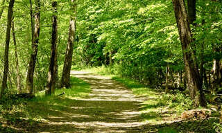 Terrain  5126 m² à vendre à Le Pian-Médoc (33290)