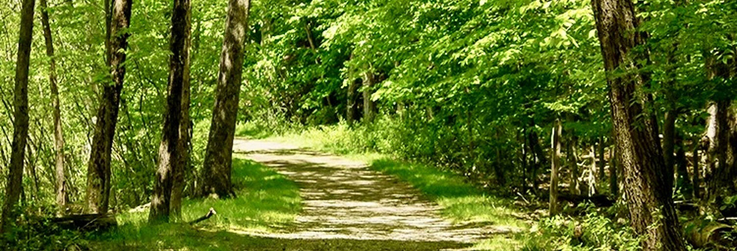 Terrain  5126 m² à vendre à Le Pian-Médoc (33290)