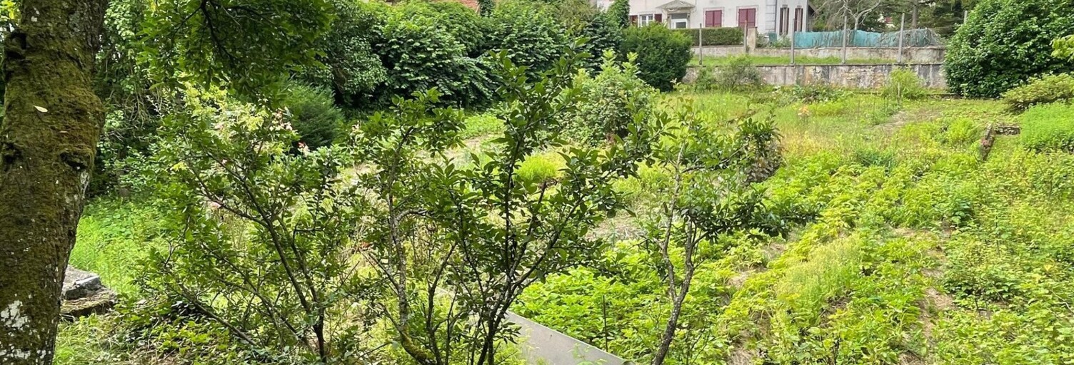 Maison 13 Pièces 332 m² à vendre à Albestroff (57670)