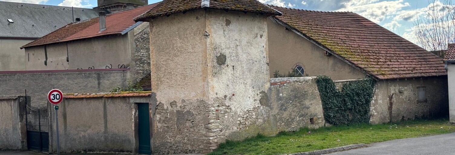 Maison 3 Pièces 120 m² à vendre à Albestroff (57670)