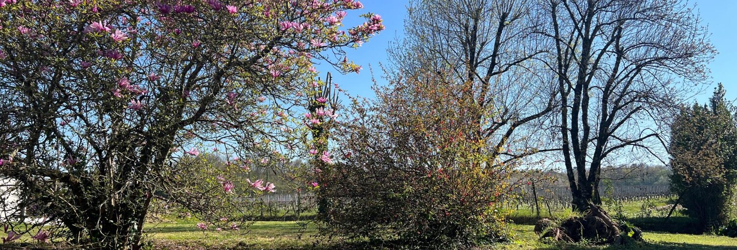 Terrain  748 m² à vendre à Montussan (33450)