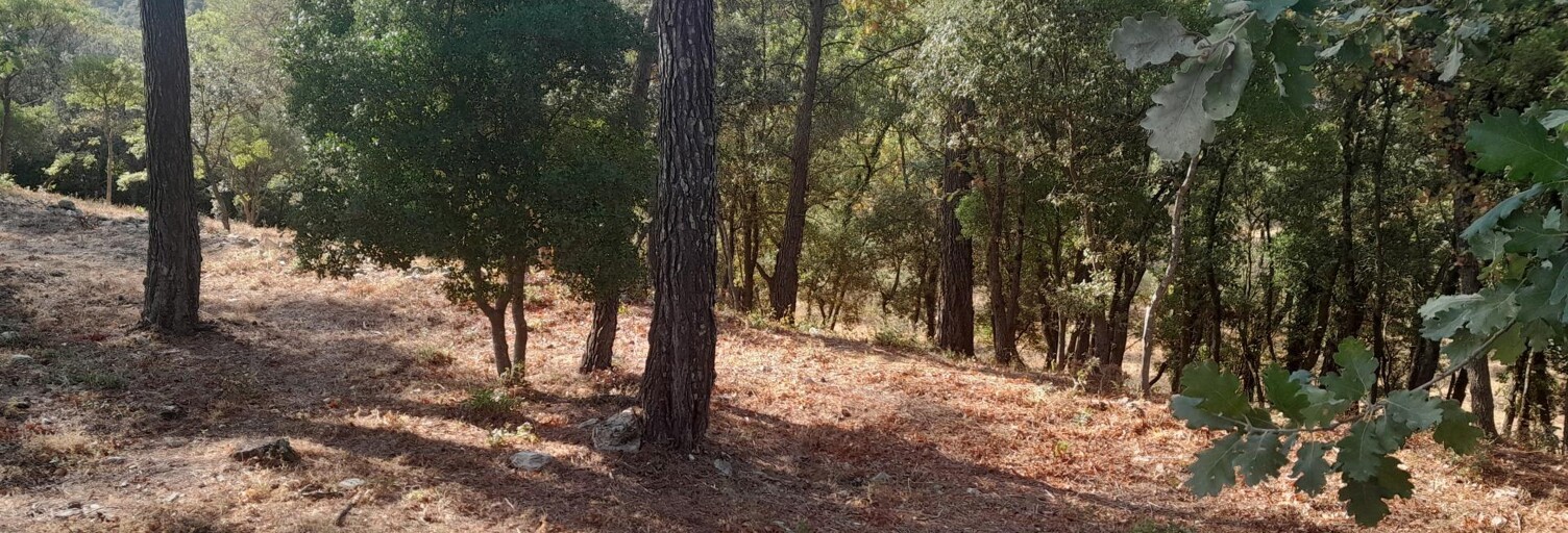 Terrain  676 m² à vendre à Saint-Maximin-la-Sainte-Baume (83470)