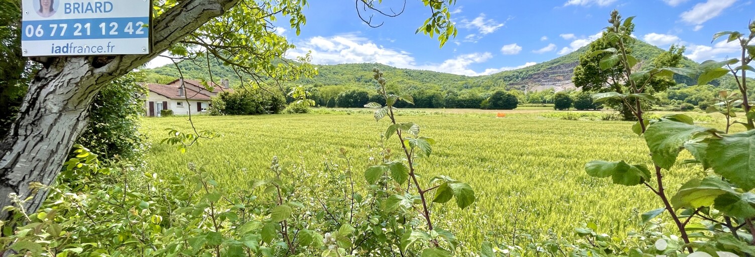 Terrain  4300 m² à vendre à Gourdan-Polignan (31210)
