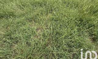 Terrain  487 m² à vendre à Sanguinet (40460)