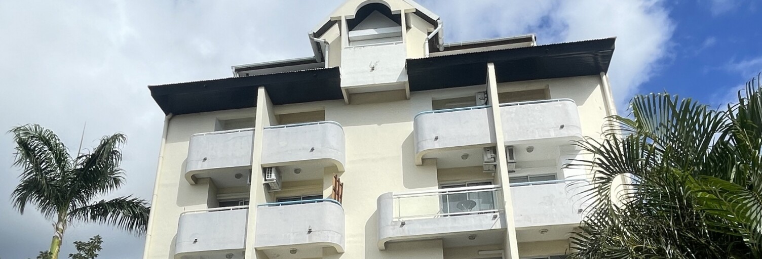 Appartement 1 Pièce 29 m² à vendre à Saint-Denis (97400)