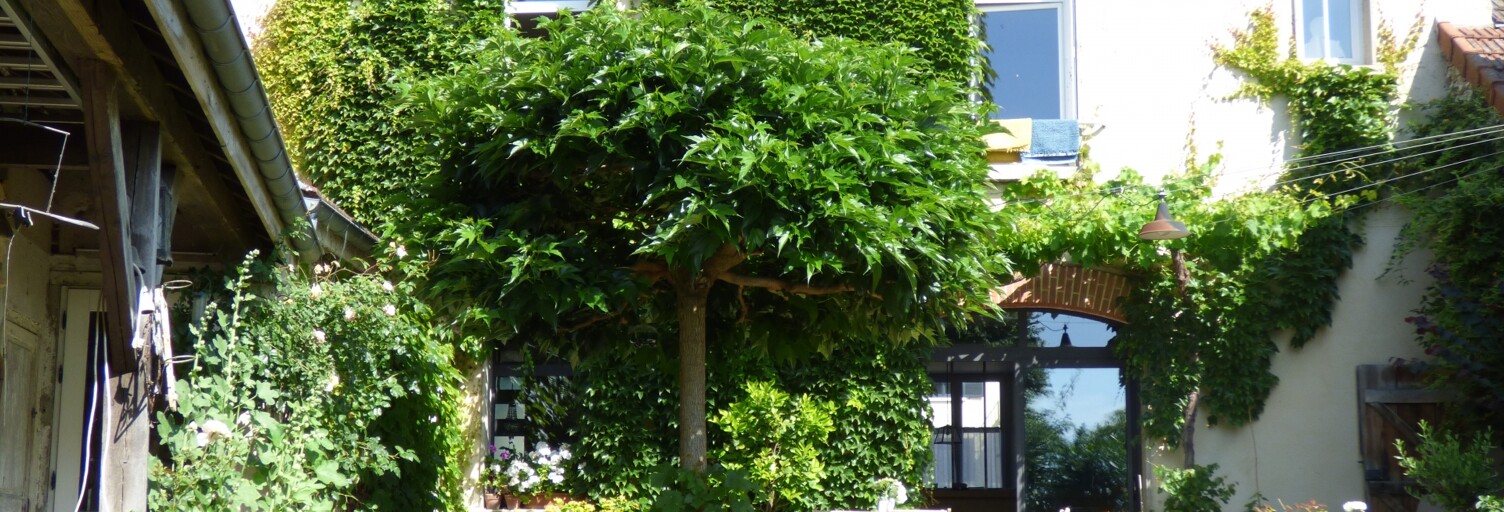 Maison 6 Pièces 200 m² à vendre à Vincelles (51700)