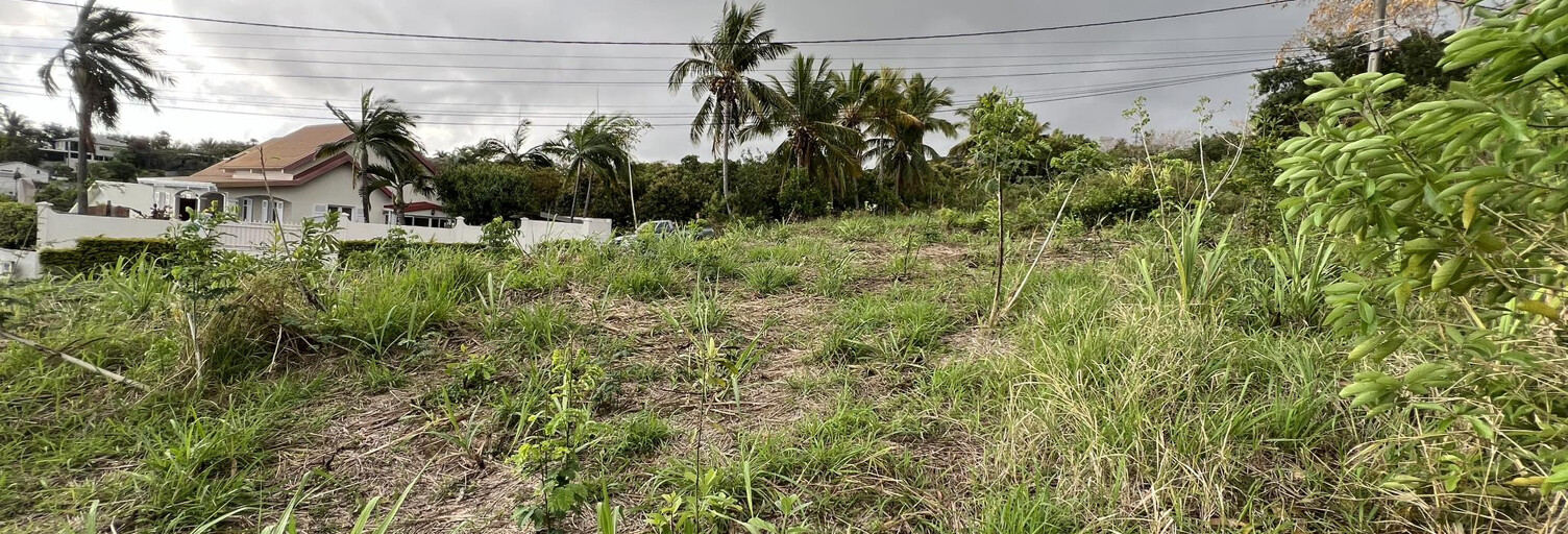 Terrain  589 m² à vendre à Saint-Louis (97450)