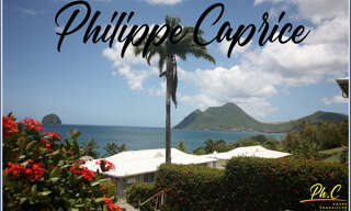 Appartement 1 Pièce 25 m² à vendre à Le Diamant (97223)