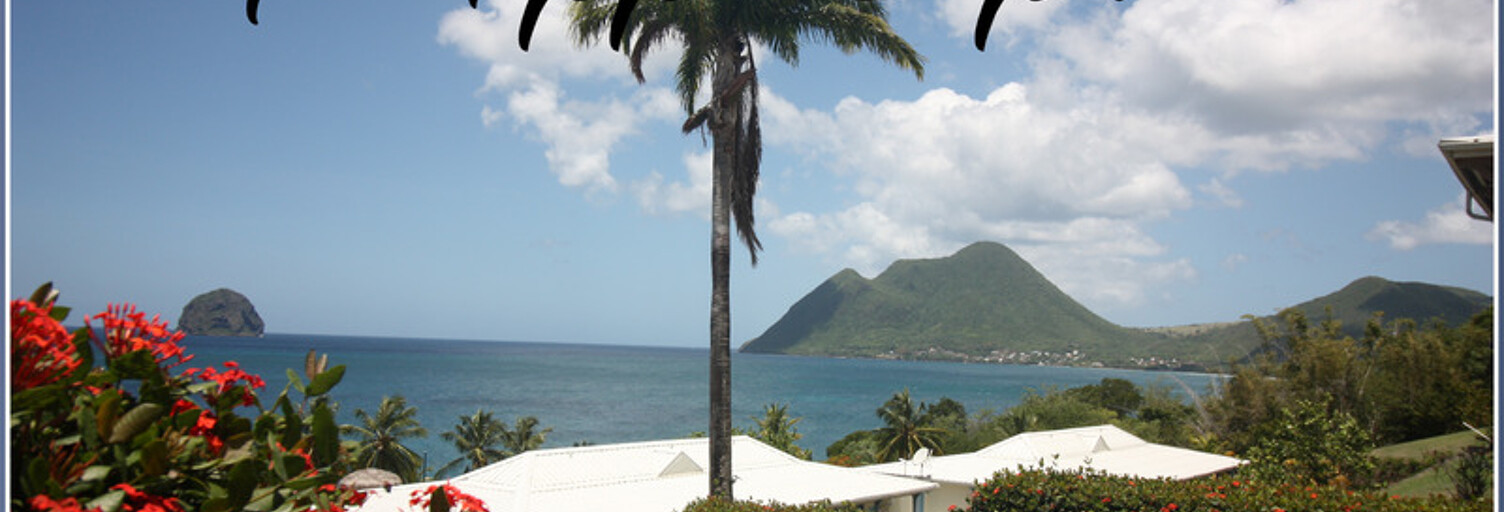 Appartement 1 Pièce 25 m² à vendre à Le Diamant (97223)