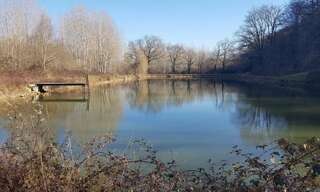 Terrain  89798 m² à vendre à Prissac (36370)