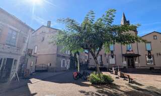 Maison 7 Pièces 257 m² à vendre à Monestiés (81640)