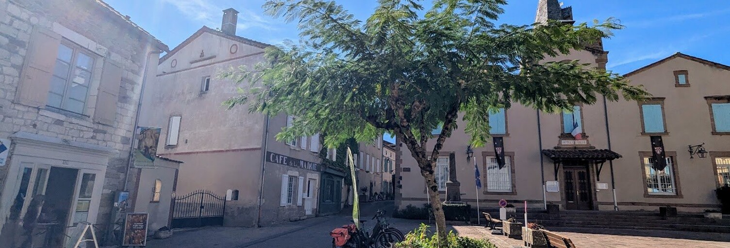 Maison 7 Pièces 257 m² à vendre à Monestiés (81640)