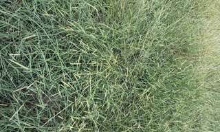 Terrain  568 m² à vendre à Sanguinet (40460)