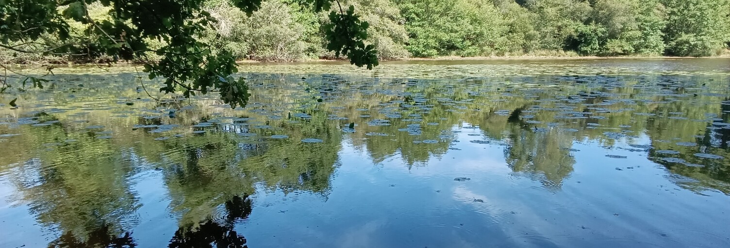 Terrain  37398 m² à vendre à Bord-Saint-Georges (23230)