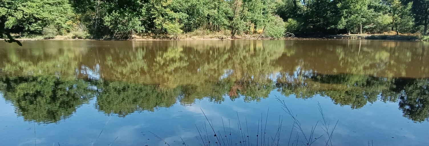 Terrain  37398 m² à vendre à Bord-Saint-Georges (23230)