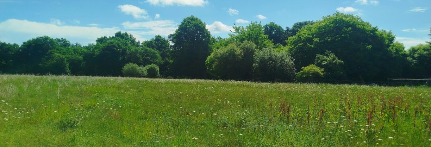 Terrain  1200 m² à vendre à Saint-Sever (40500)