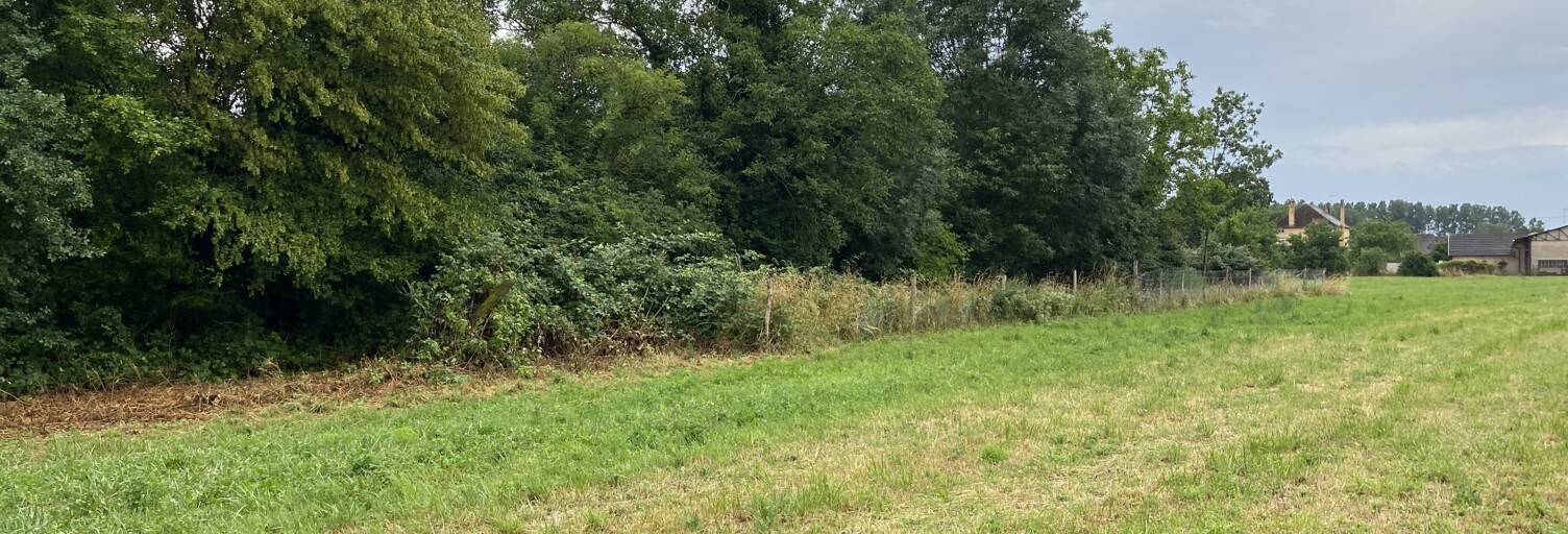 Terrain  14424 m² à vendre à Brazey-en-Plaine (21470)