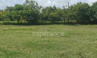 Terrain  1000 m² à vendre à Petit-Canal (97131)