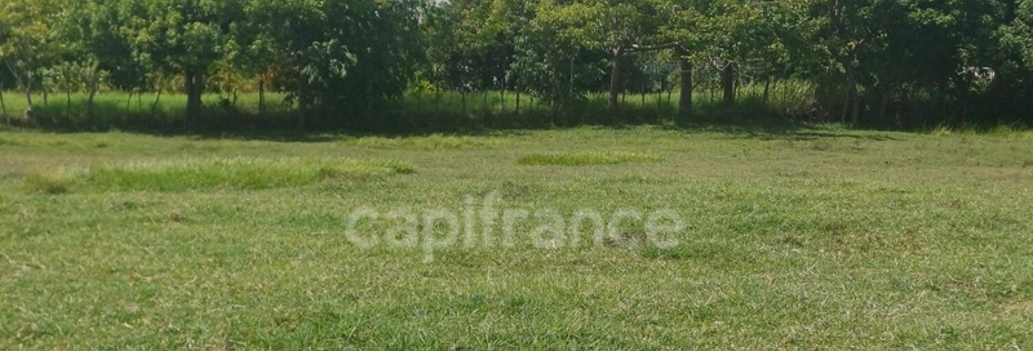 Terrain  1000 m² à vendre à Petit-Canal (97131)