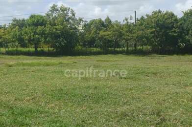 Terrain  168175 €