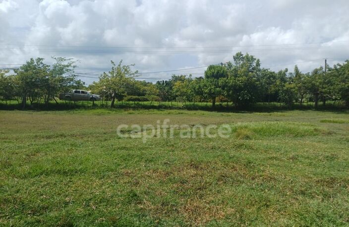 Terrain à vendre de 1 000,00 m² PETIT CANAL (971) — photo 2