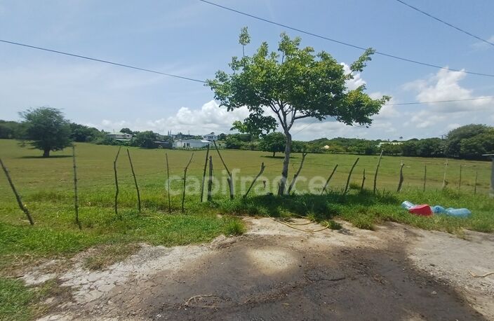 Terrain à vendre de 1 000,00 m² PETIT CANAL (971) — photo 5