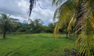 Terrain  3900 m² à vendre à Saint-Laurent-du-Maroni (97320)