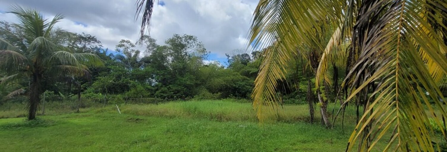 Terrain  3900 m² à vendre à Saint-Laurent-du-Maroni (97320)