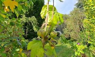 Terrain  652 m² à vendre à Les Essarts-le-Roi (78690)