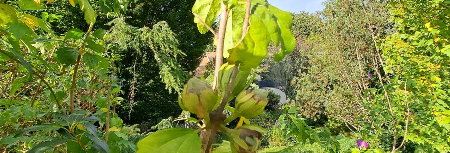 Terrain  652 m² à vendre à Les Essarts-le-Roi (78690)