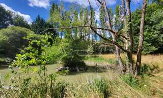 Terrain  2780 m² à vendre à Pleumartin (86450)