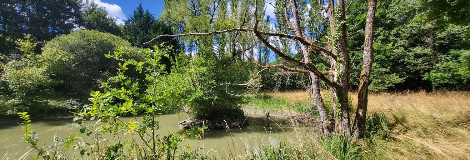 Terrain  2780 m² à vendre à Pleumartin (86450)