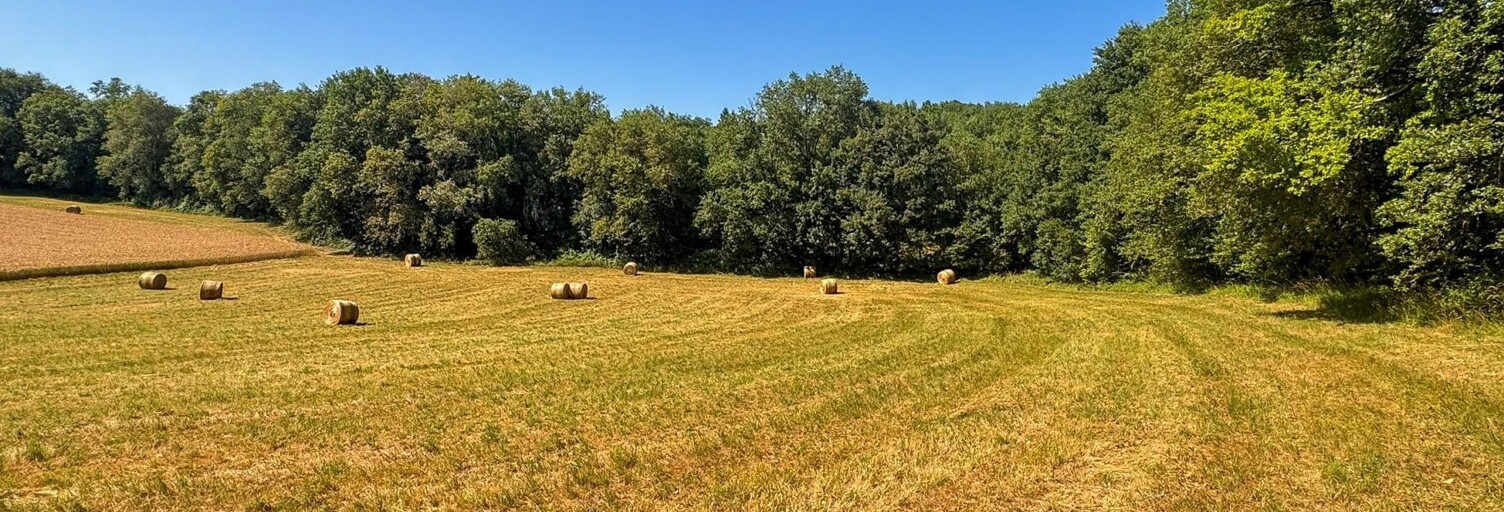 Terrain  6866 m² à vendre à Limeuil (24510)