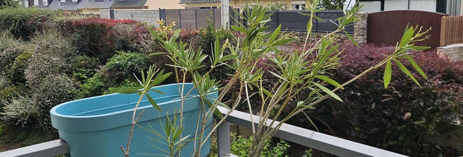 Appartement 2 Pièces 54 m² à vendre à Saint-Malo (35400)