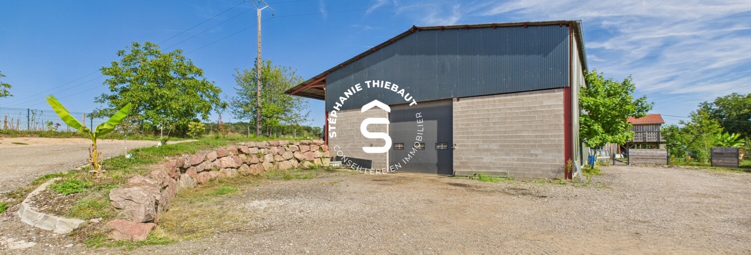 Maison 6 Pièces 216 m² à vendre à Dommartin-aux-Bois (88390)