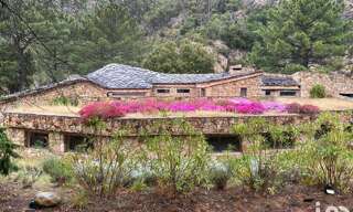 Maison 7 Pièces 490 m² à vendre à Sari-Solenzara (20145)