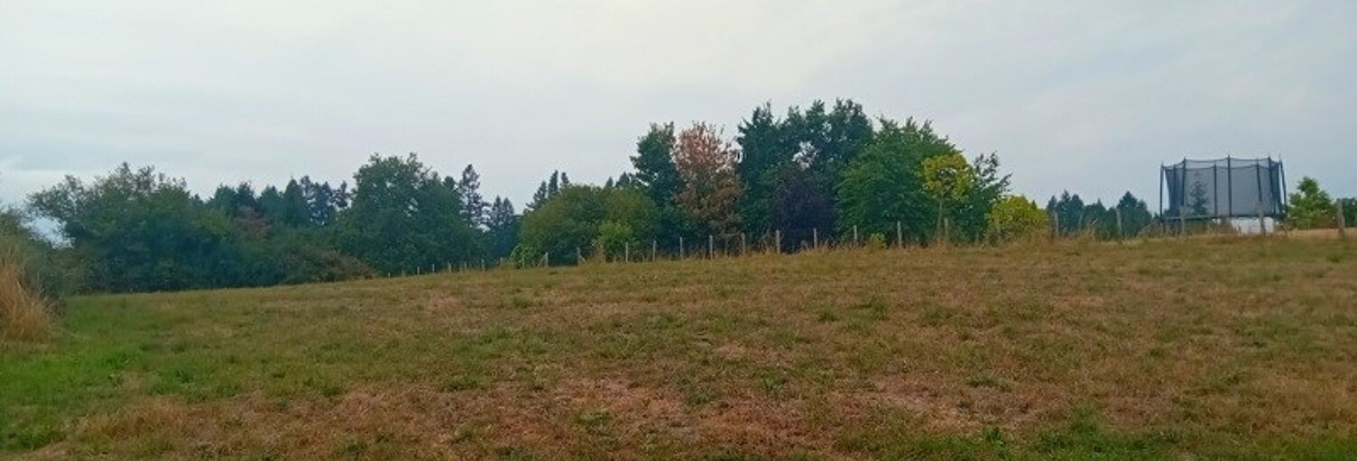 Terrain  3129 m² à vendre à Condat-sur-Ganaveix (19140)