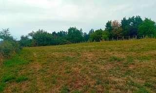 Terrain  3129 m² à vendre à Condat-sur-Ganaveix (19140)