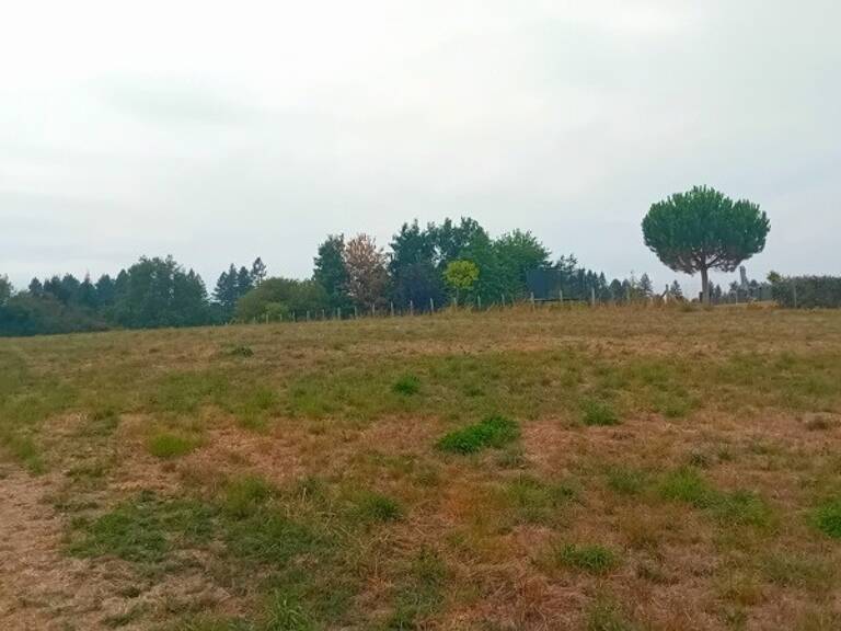 Terrain à bâtir de 0 pièces principales — photo 1
