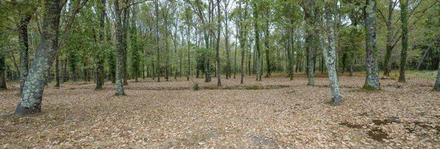 Maison 107 m² à construire Salles (33770)