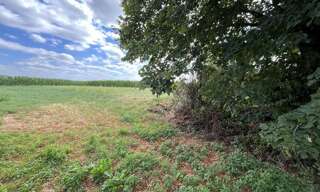 Maison 2 Pièces 52 m² à vendre à Le Petit-Pressigny (37350)