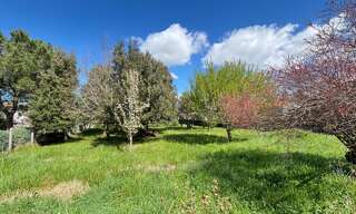 Commerce  392 m² à vendre à Saint-Palais-sur-Mer (17420)