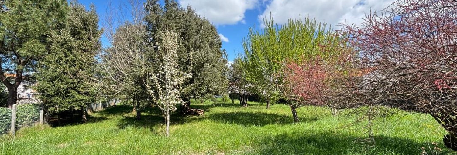 Commerce  392 m² à vendre à Saint-Palais-sur-Mer (17420)