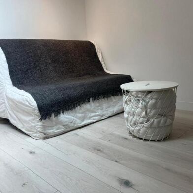 Appartement 1 pièces 700 €