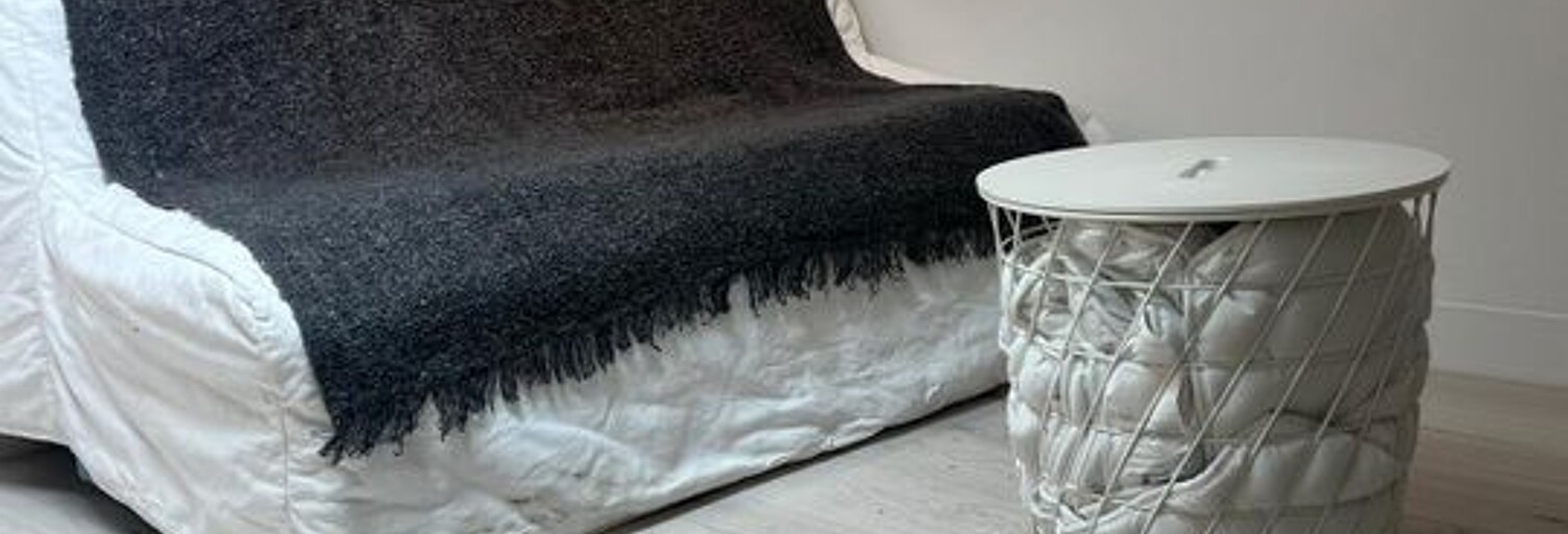 Appartement 1 Pièce 20 m² à louer à Saint-Martin-d'Hères (38400)